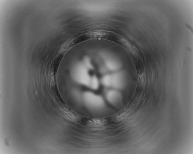 X0000091540381200708171249
