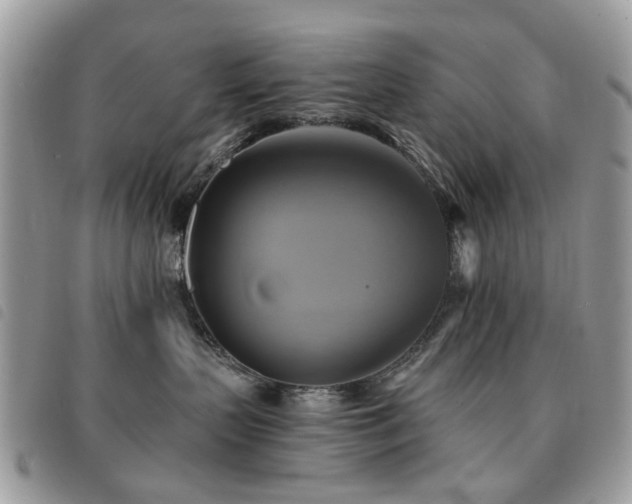 X0000091540383200708171250
