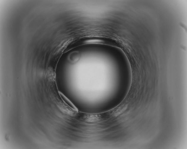 X0000091540384200708171250