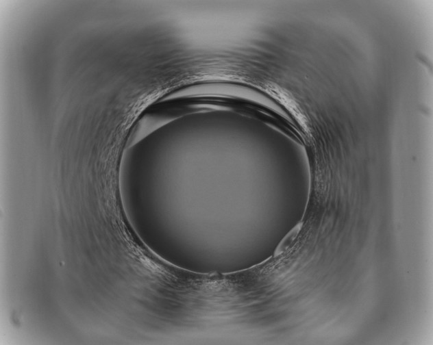 X0000091540385200708171249