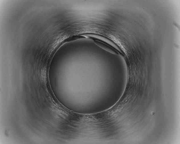 X0000091540386200708171249