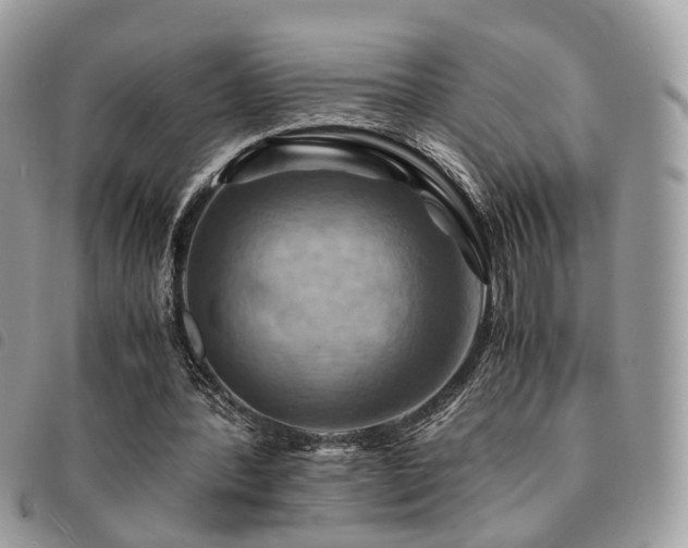 X0000091540388200708171249