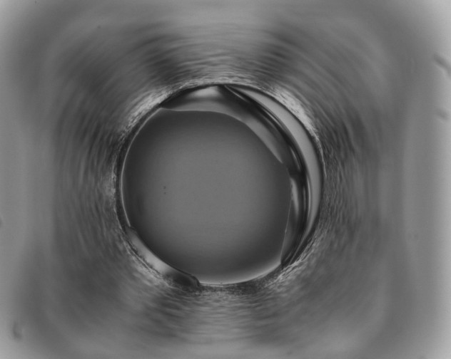 X0000091540389200708171249