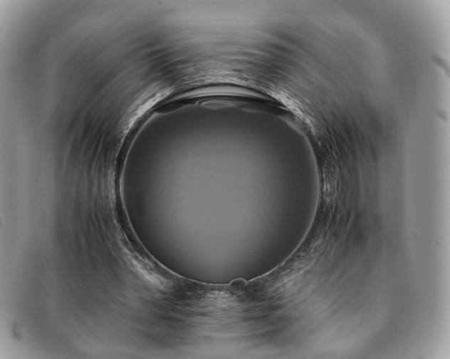 X0000091540390200708171249
