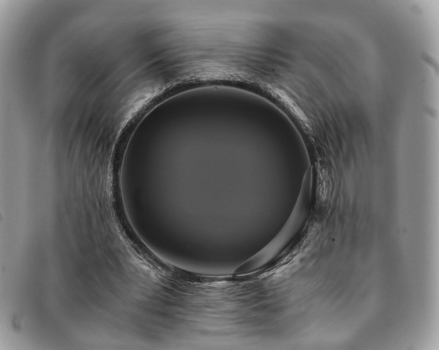 X0000091540391200708171249