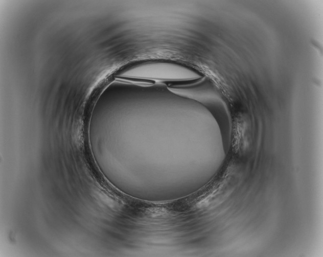 X0000091540392200708171249
