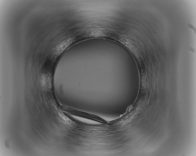 X0000091540393200708171249