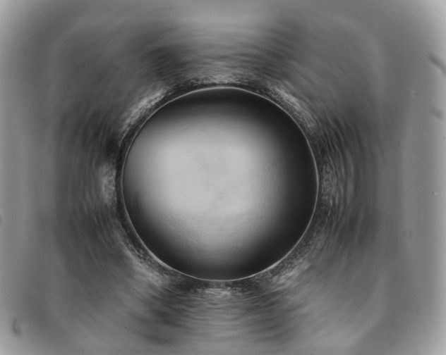 X0000091540394200708171249