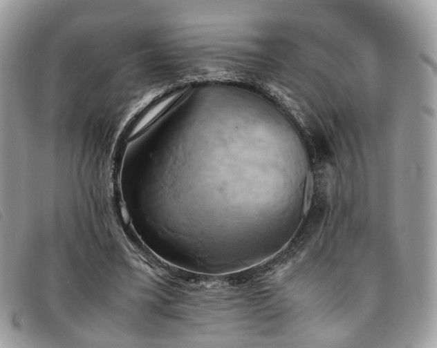 X0000091540395200708171249