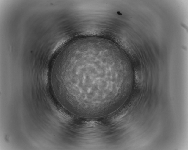 X0000091540396200708171249