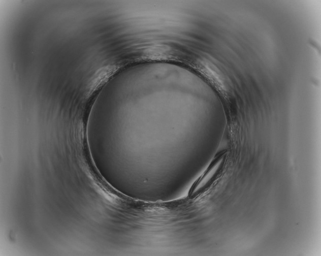 X0000091540397200708171249