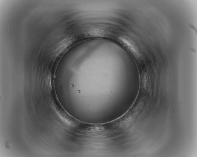 X0000091540398200708171249