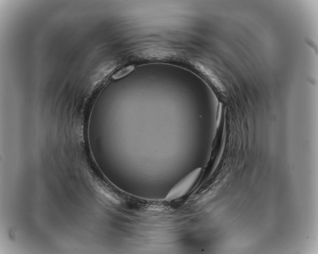 X0000091540399200708171248