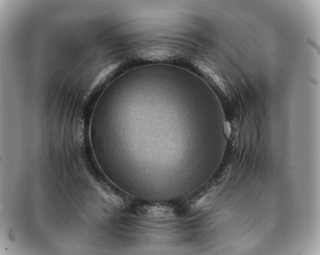 X0000091540400200708171248