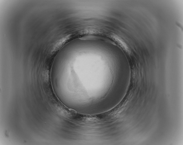 X0000091540401200708171248