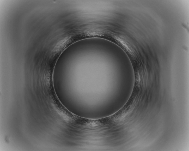 X0000091540402200708171248