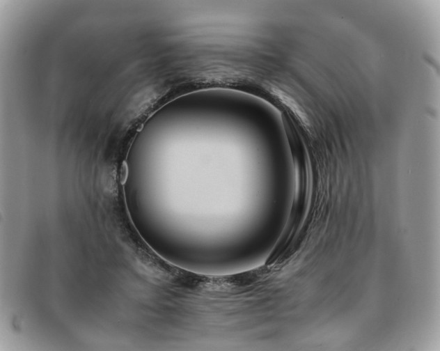 X0000091540403200708171248