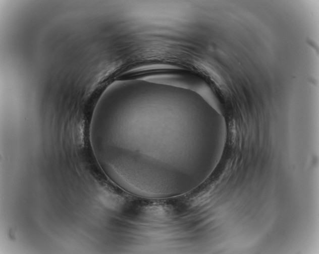 X0000091540404200708171248