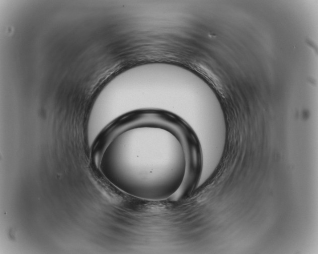 X0000091540405200708171248