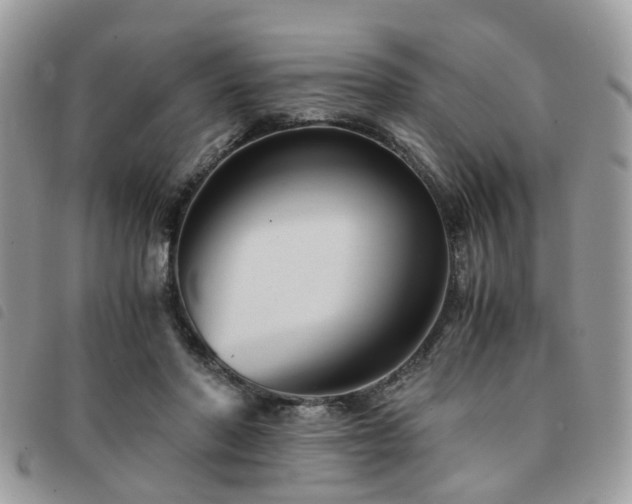 X0000091540406200708171248