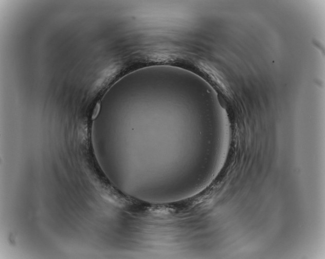 X0000091540407200708171248