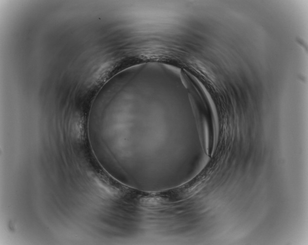 X0000091540408200708171248