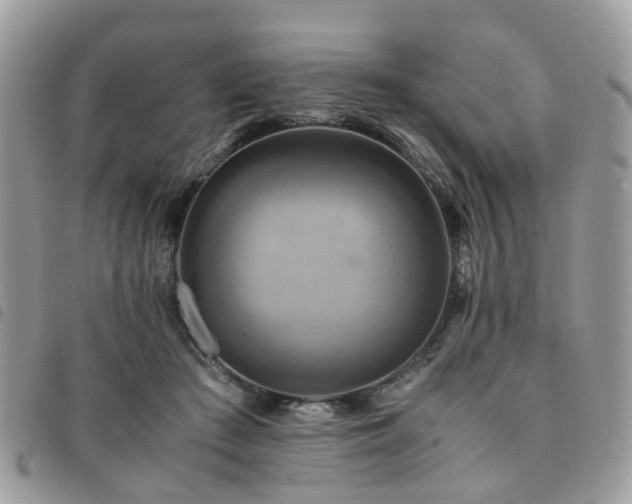 X0000091540409200708171248