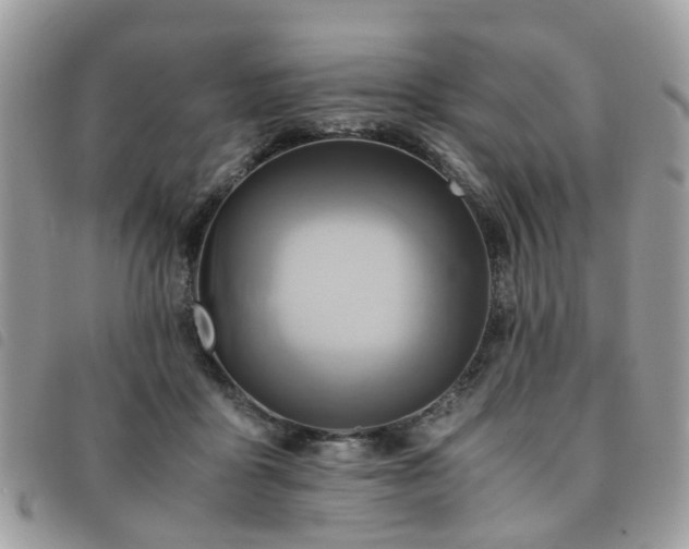 X0000091540411200708171248