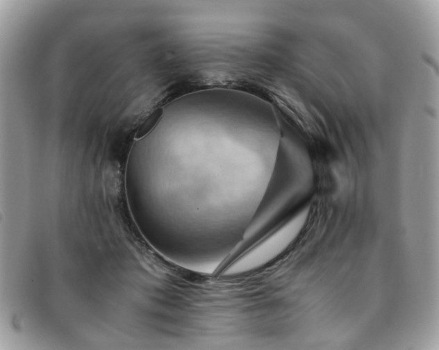 X0000091540413200708171248