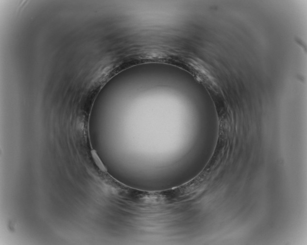 X0000091540415200708171248