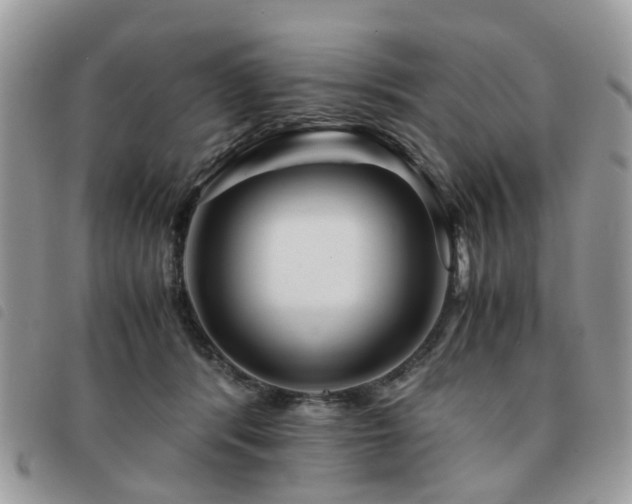X0000091540416200708171248