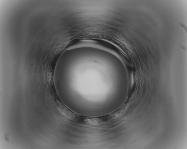 X0000091540417200708171248