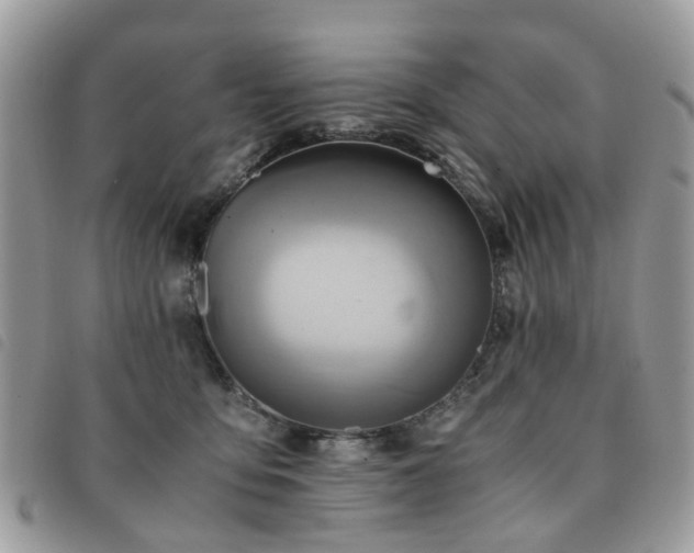 X0000091540419200708171248