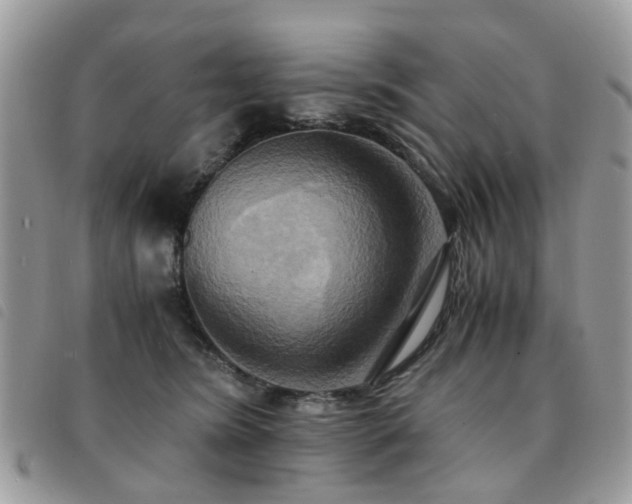 X0000091540420200708171248