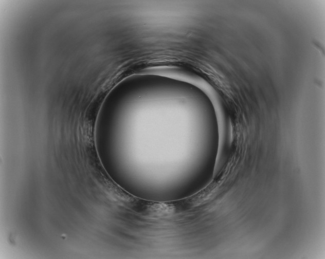 X0000091540421200708171248
