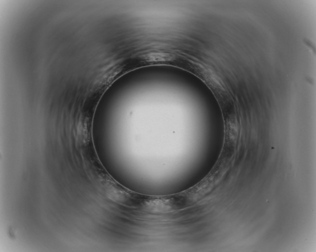 X0000091540422200708171248