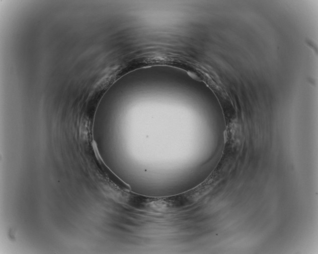 X0000091540423200708171248
