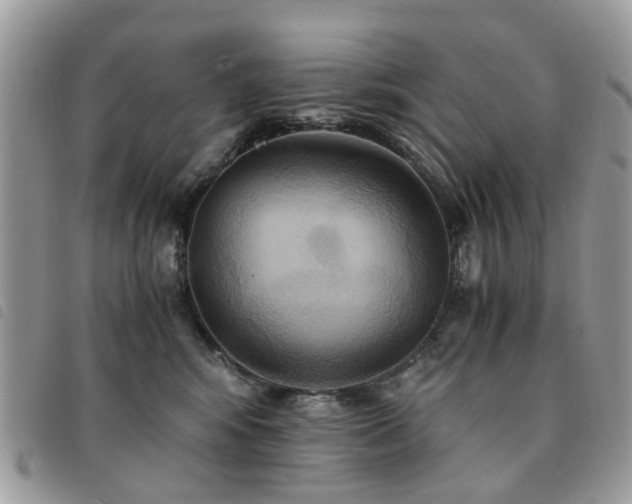 X0000091540424200708171248