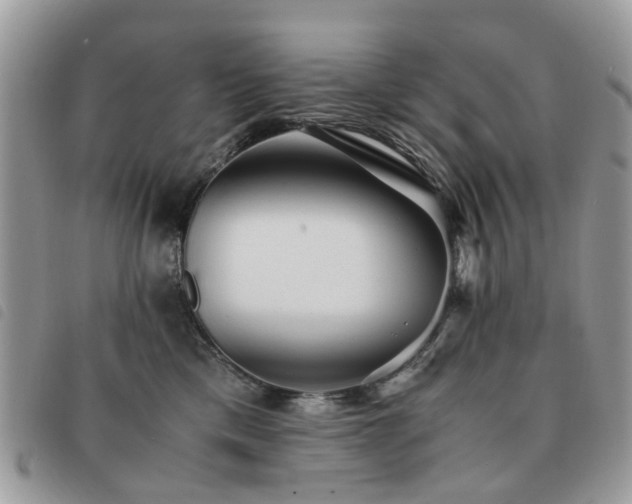 X0000091540425200708171248