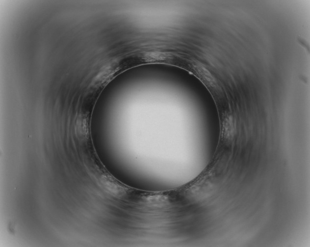 X0000091540426200708171248