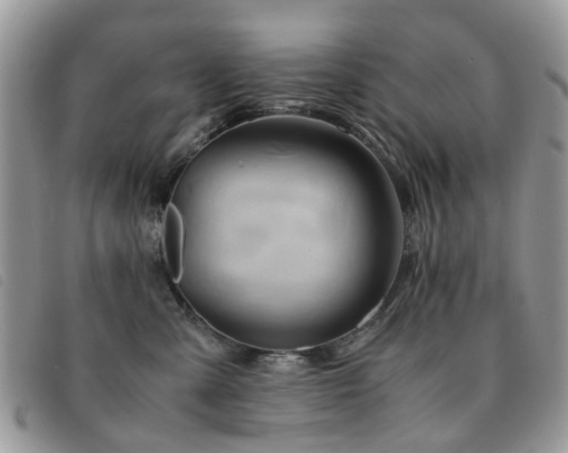 X0000091540427200708171248