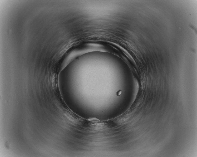 X0000091540428200708171248