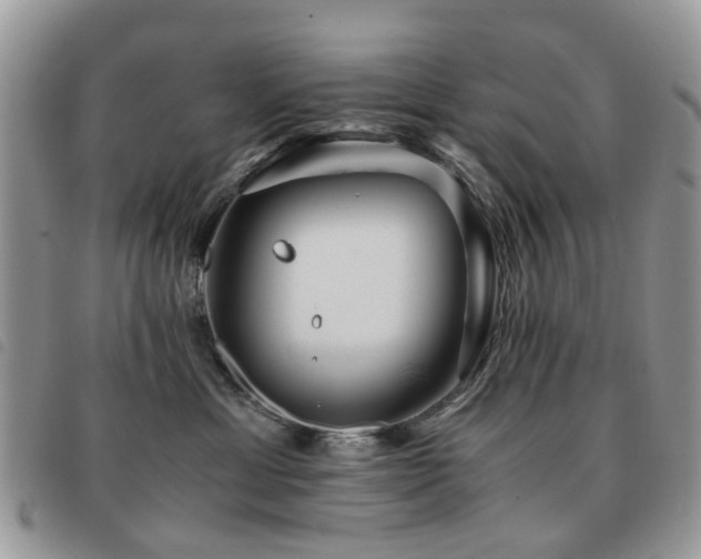X0000091540429200708171248