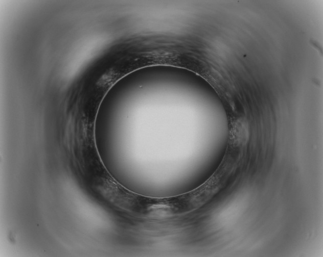 X0000091540430200708171248