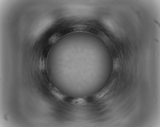 X0000091540431200708171248
