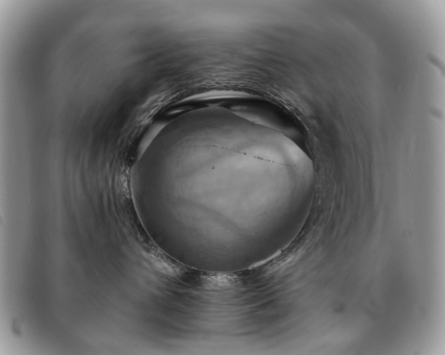 X0000091540432200708171248