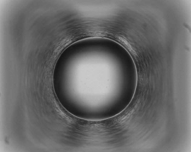 X0000091540433200708171247