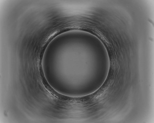 X0000091540434200708171247