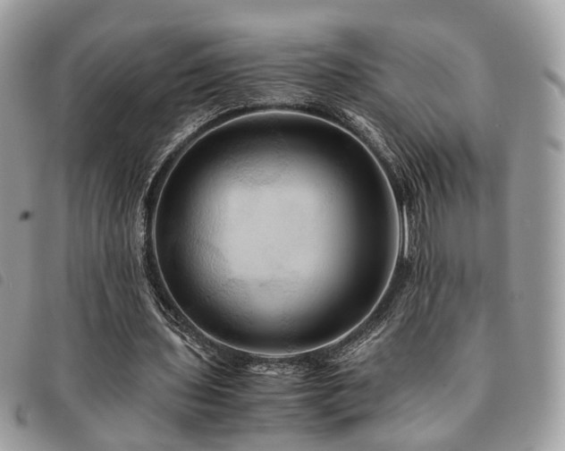 X0000091540435200708171247