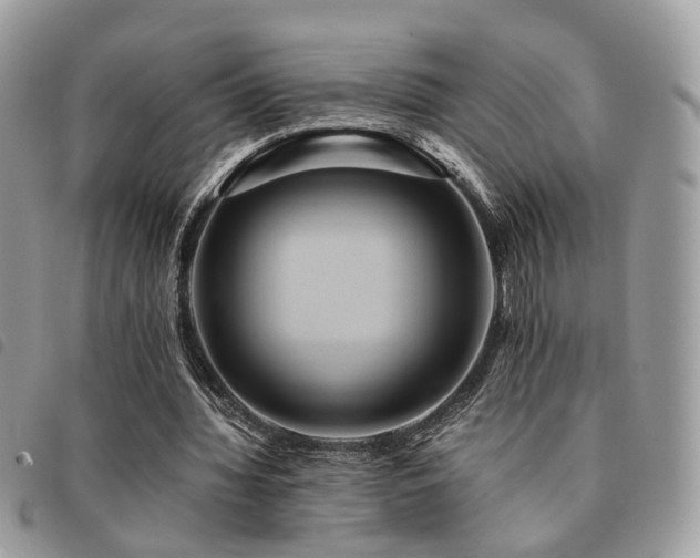 X0000091540436200708171247